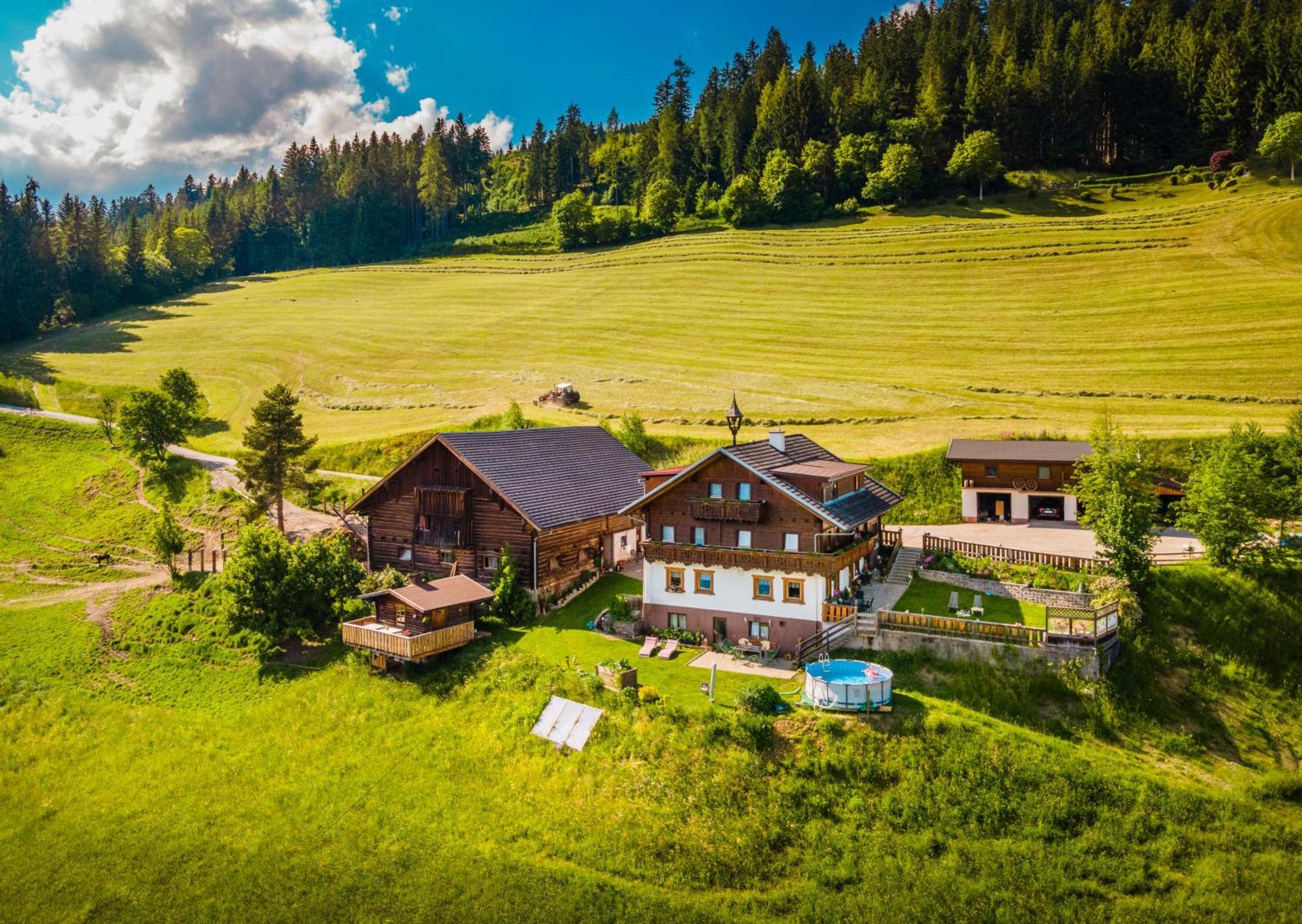 Gschwandtgut Urlaub Am Bauernhof Villa Schwemmberg Exterior foto